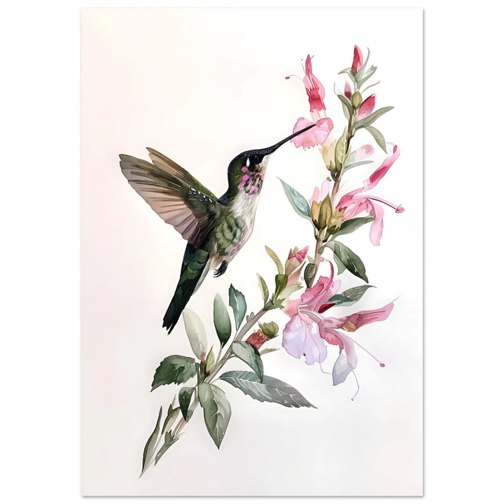 Gentle Hummingbird