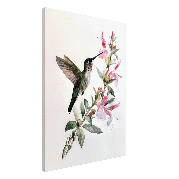 Gentle Hummingbird